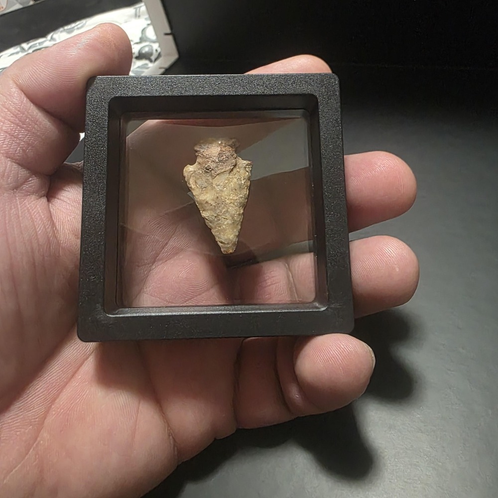 Lithic Stone Dart Point – Mexico – Decorative Display - Picture 3 of 4